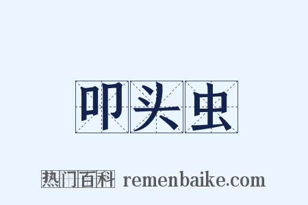叩头虫是什么意思的图片